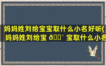妈妈姓刘给宝宝取什么小名好听(妈妈姓刘给宝 🌴 宝取什么小名好听一点)